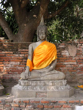 Buddha in the pose of receiving Enlightenment, The Earth as a Witness. Ayutthaya, Thailand