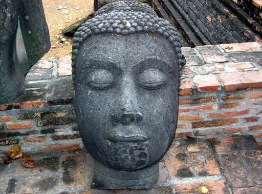 Severed head of Buddha, Ayutthaya, Thailand
