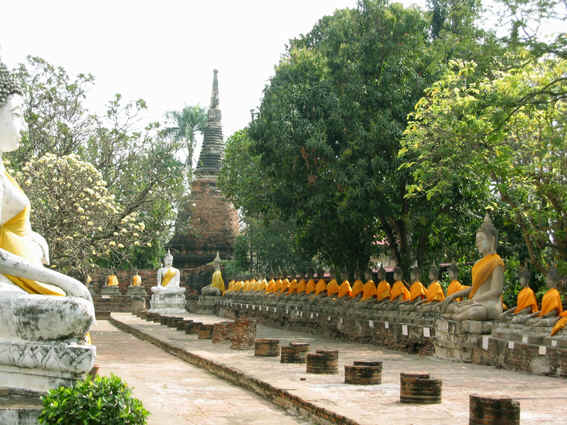 Buddha statue after Buddha statue wrapped in gold/orange cloth, Ayutthaya, Thailand