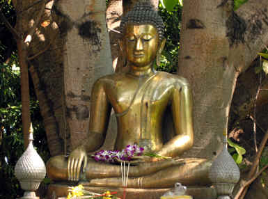 BUDDHA UNDER THE BODHI TREE