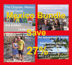 Four books on Mexico, a great value. Take advantage of our insights.