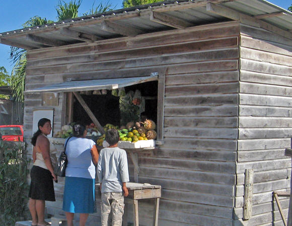 Open air vegetable stand, Orangewalk, Belize