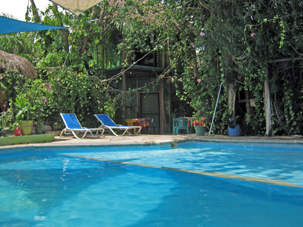 Our treetop Jungle Cabana on the 2nd floor, over looks this swimming pool in Playa del Carmen